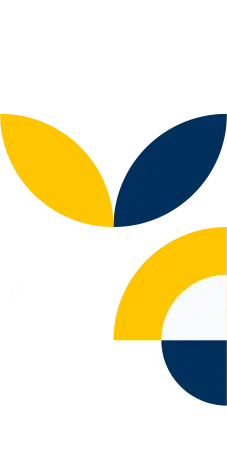 Vector Smart Object(1).webp